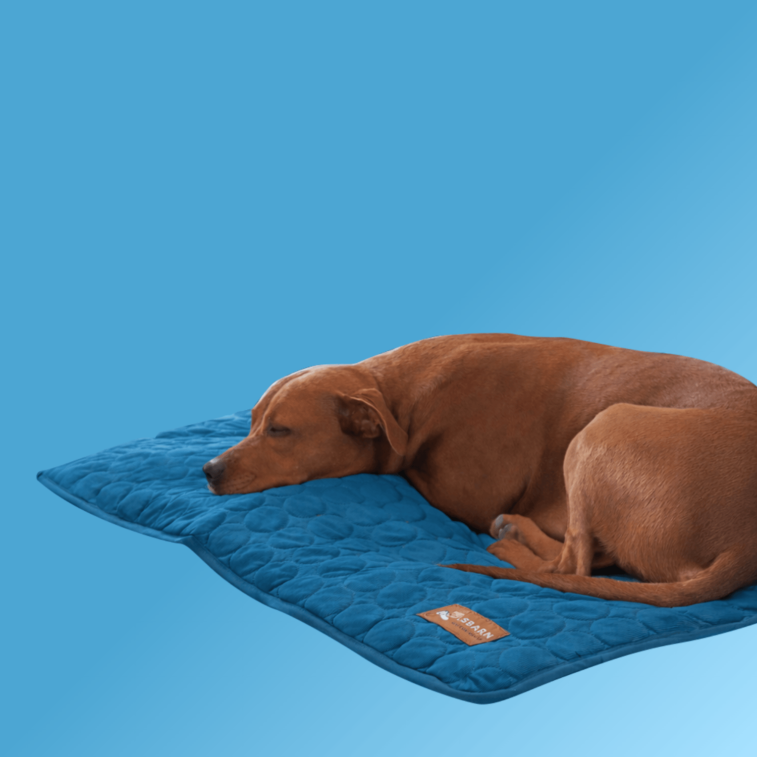 Pelsbarn Cooling Mat