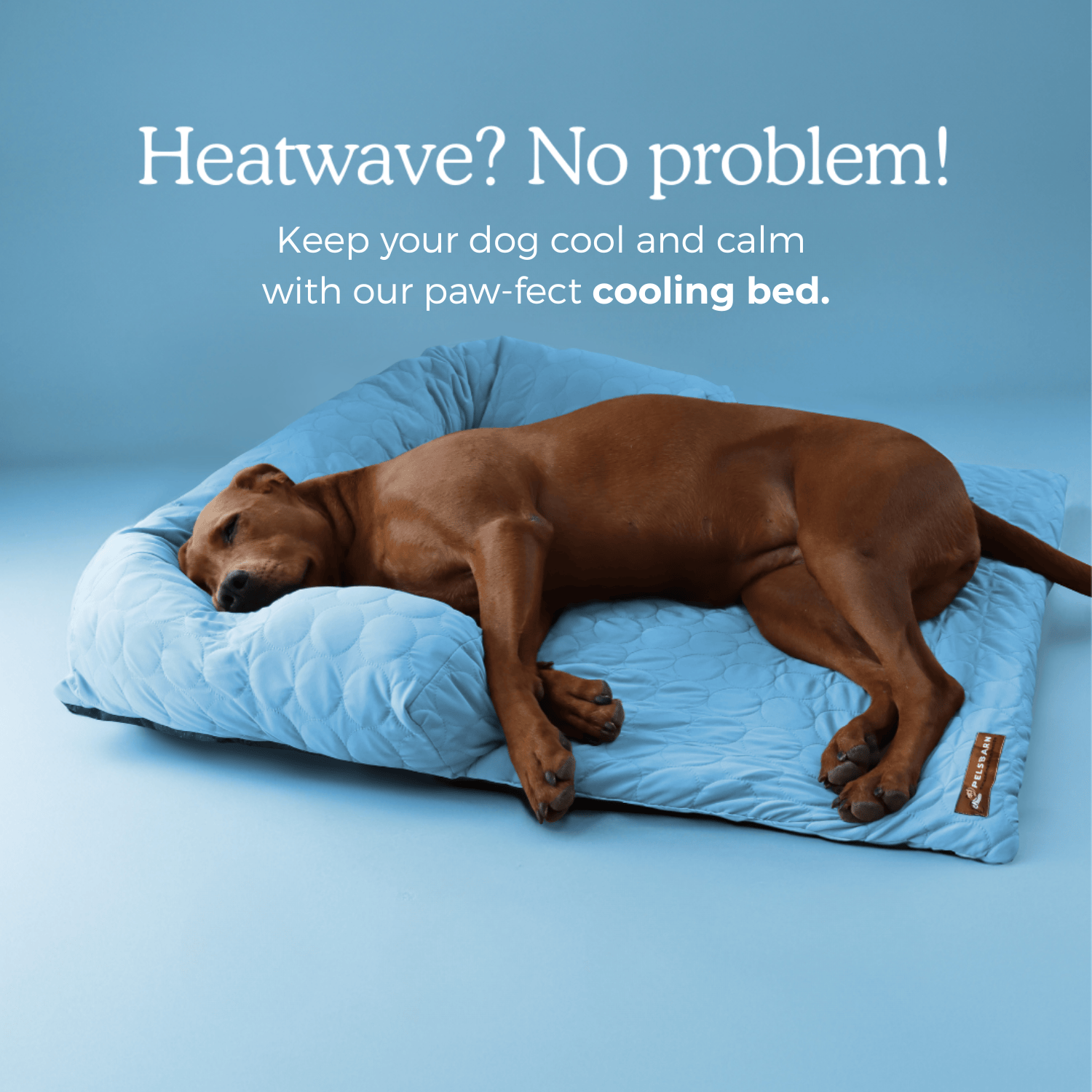 HeatRelief Cooling Dog Bed