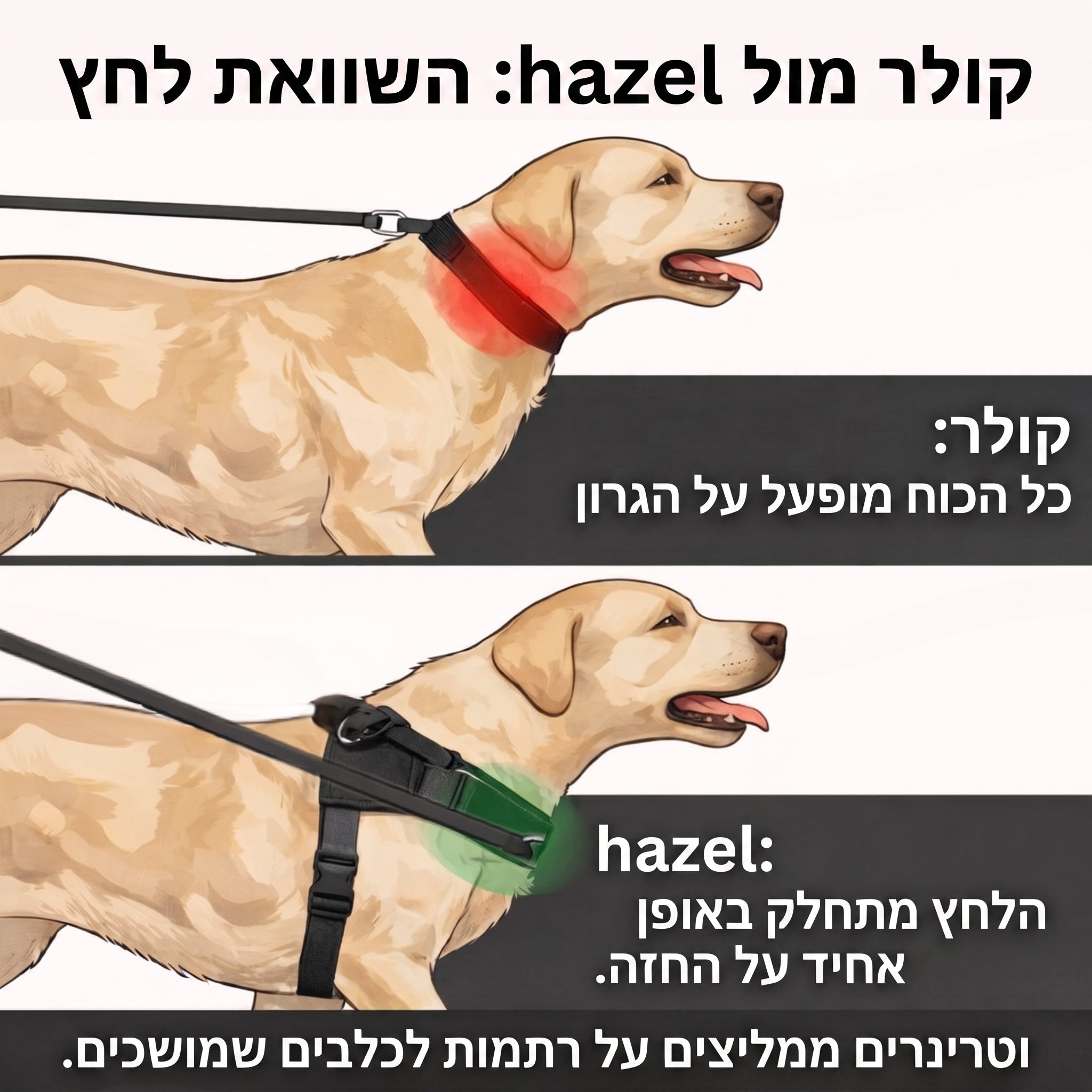Hazel No Pull Dog Harness