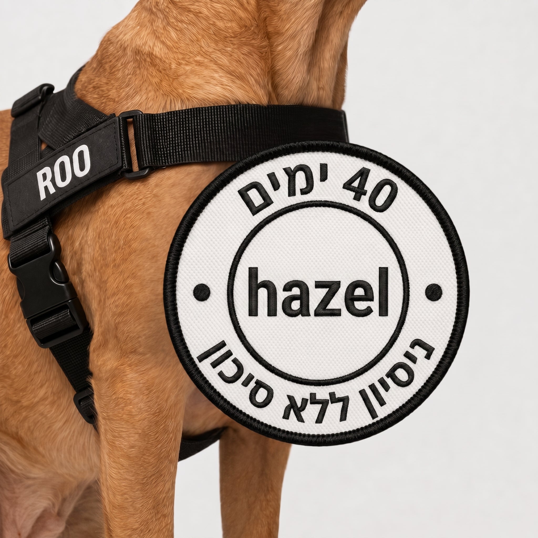 Hazel No Pull Dog Harness