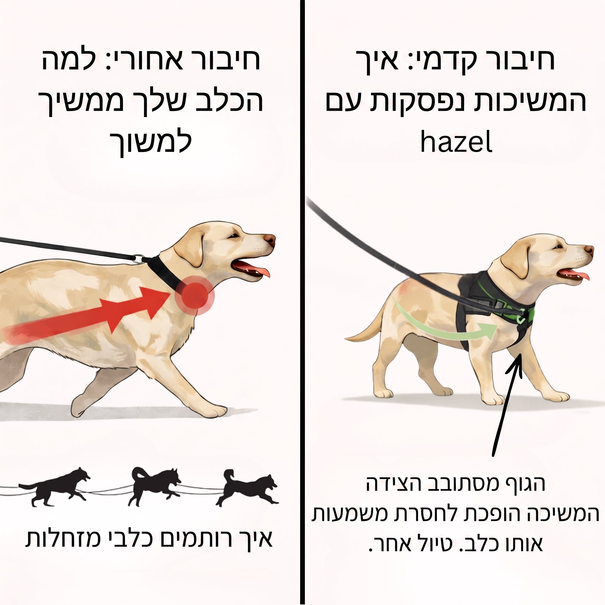 Hazel No Pull Dog Harness