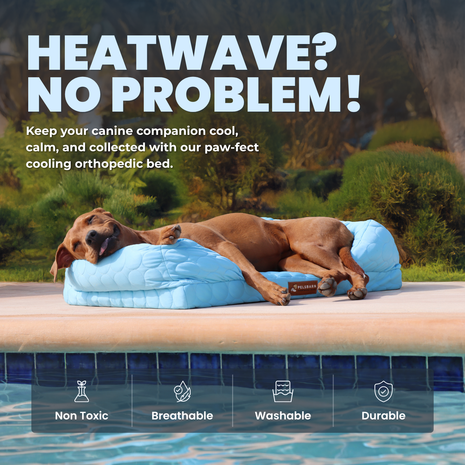 Orthopedic Cooling Dog Bed