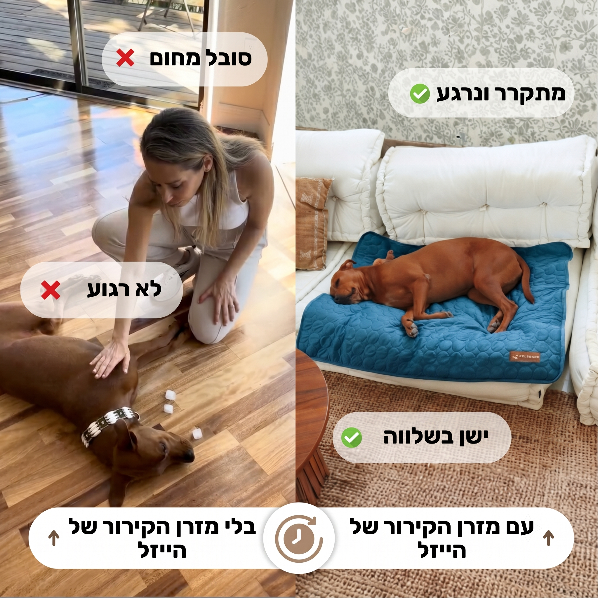 מזרן הקירור מבית הייזל