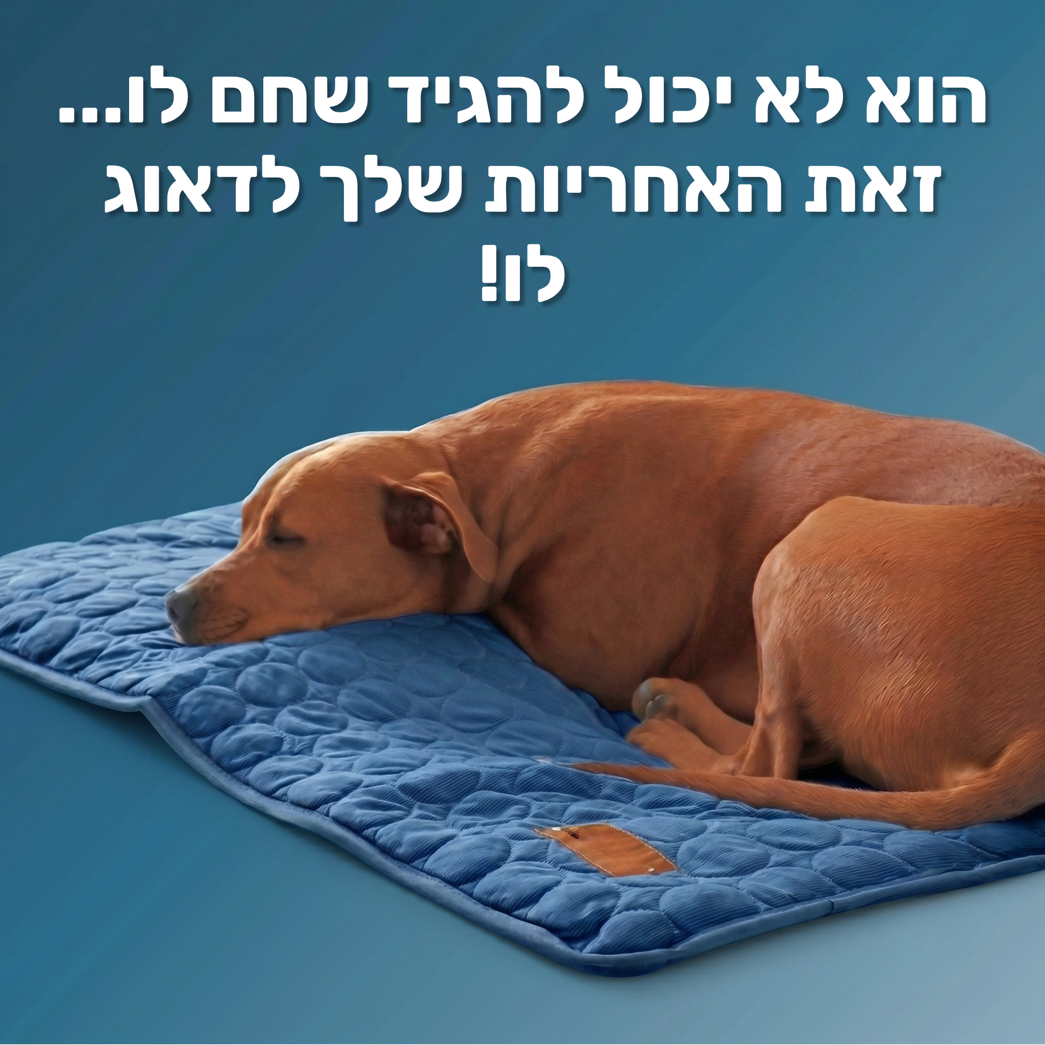 מזרן הקירור מבית הייזל