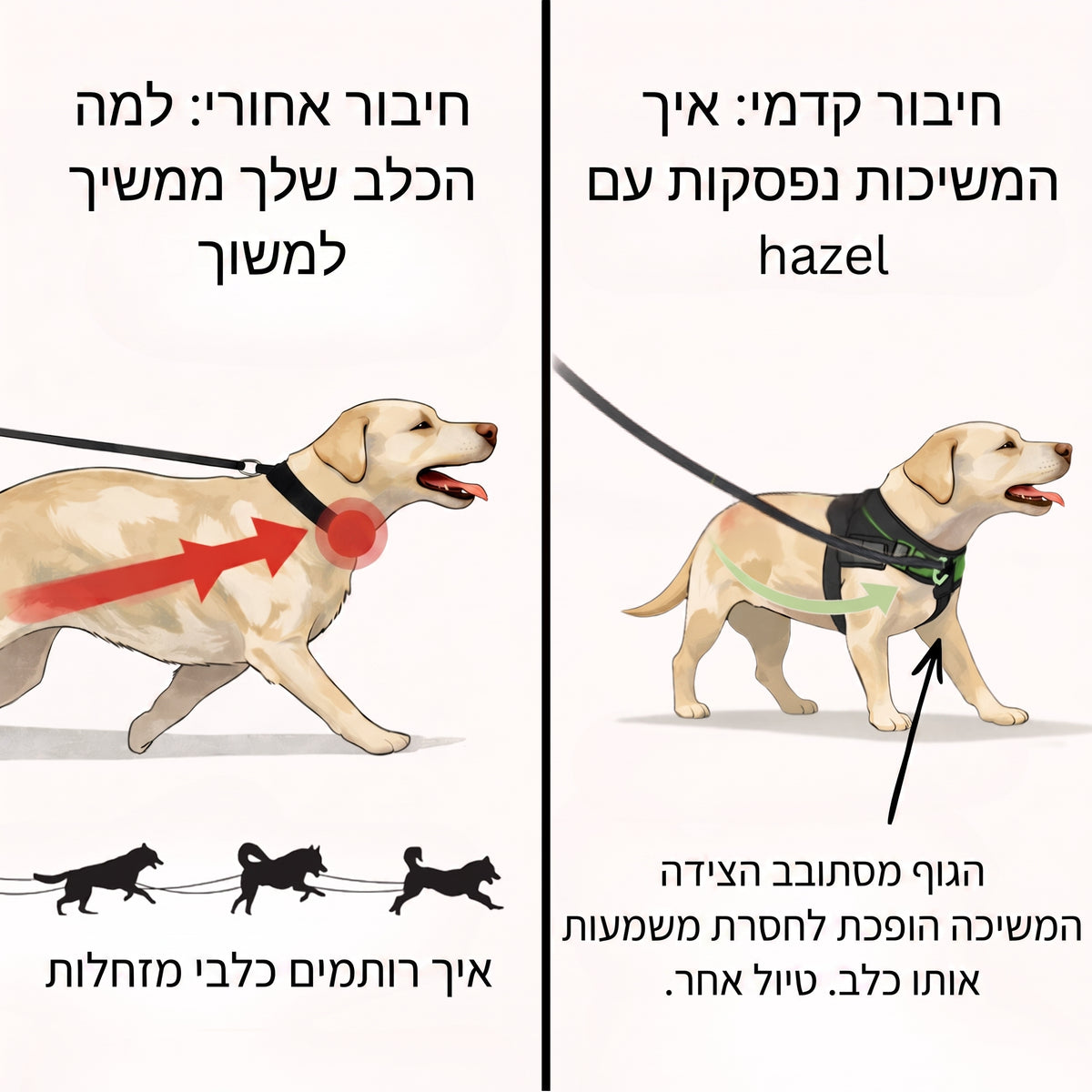Hazel No Pull Dog Harness