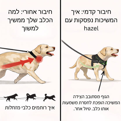 Hazel No Pull Dog Harness