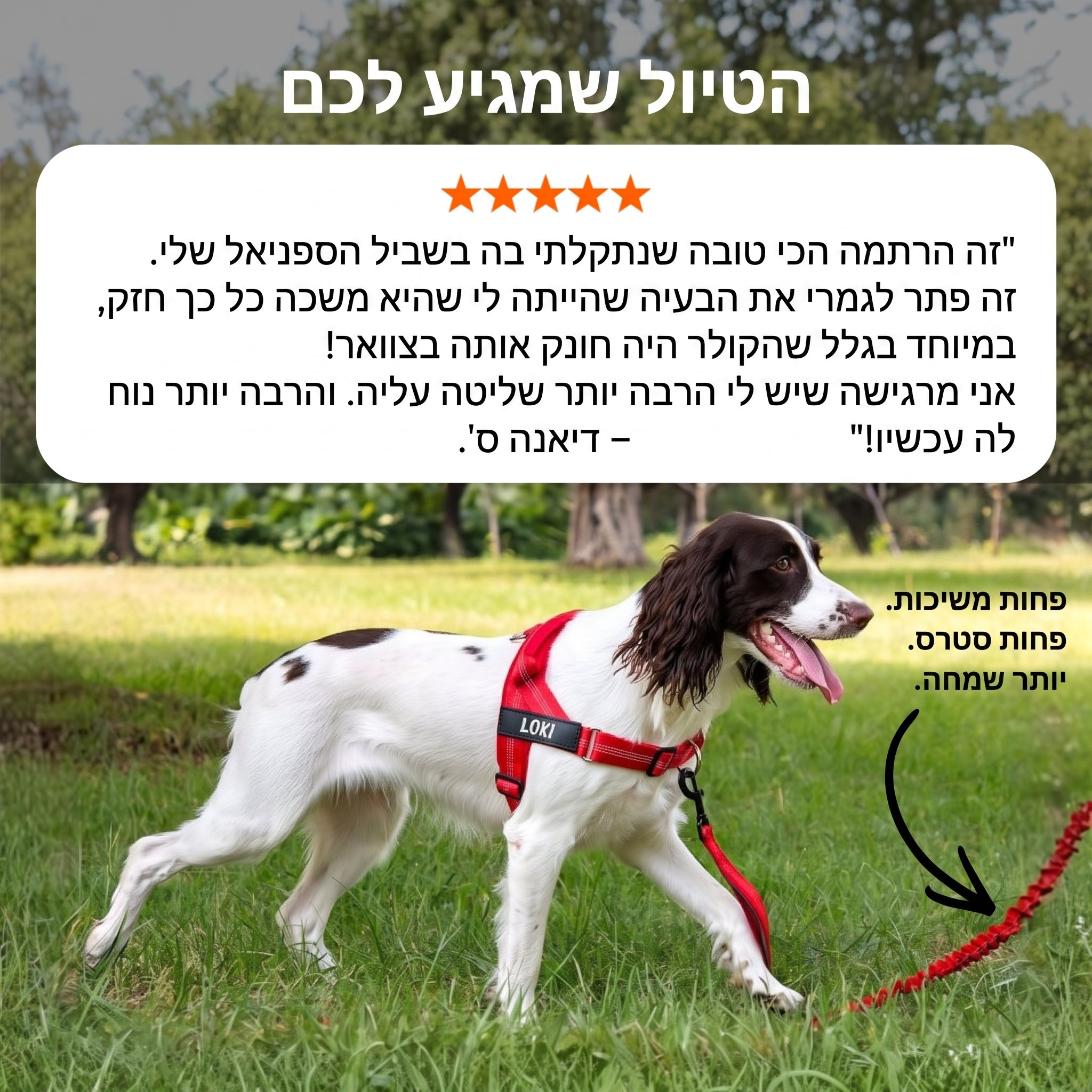 Hazel No Pull Dog Harness