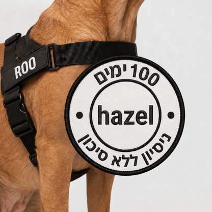 תג רקום 100 ימים - hazel