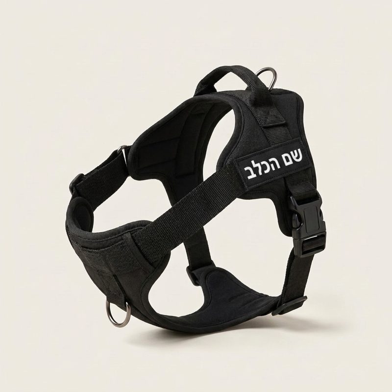 רתמת הייזל